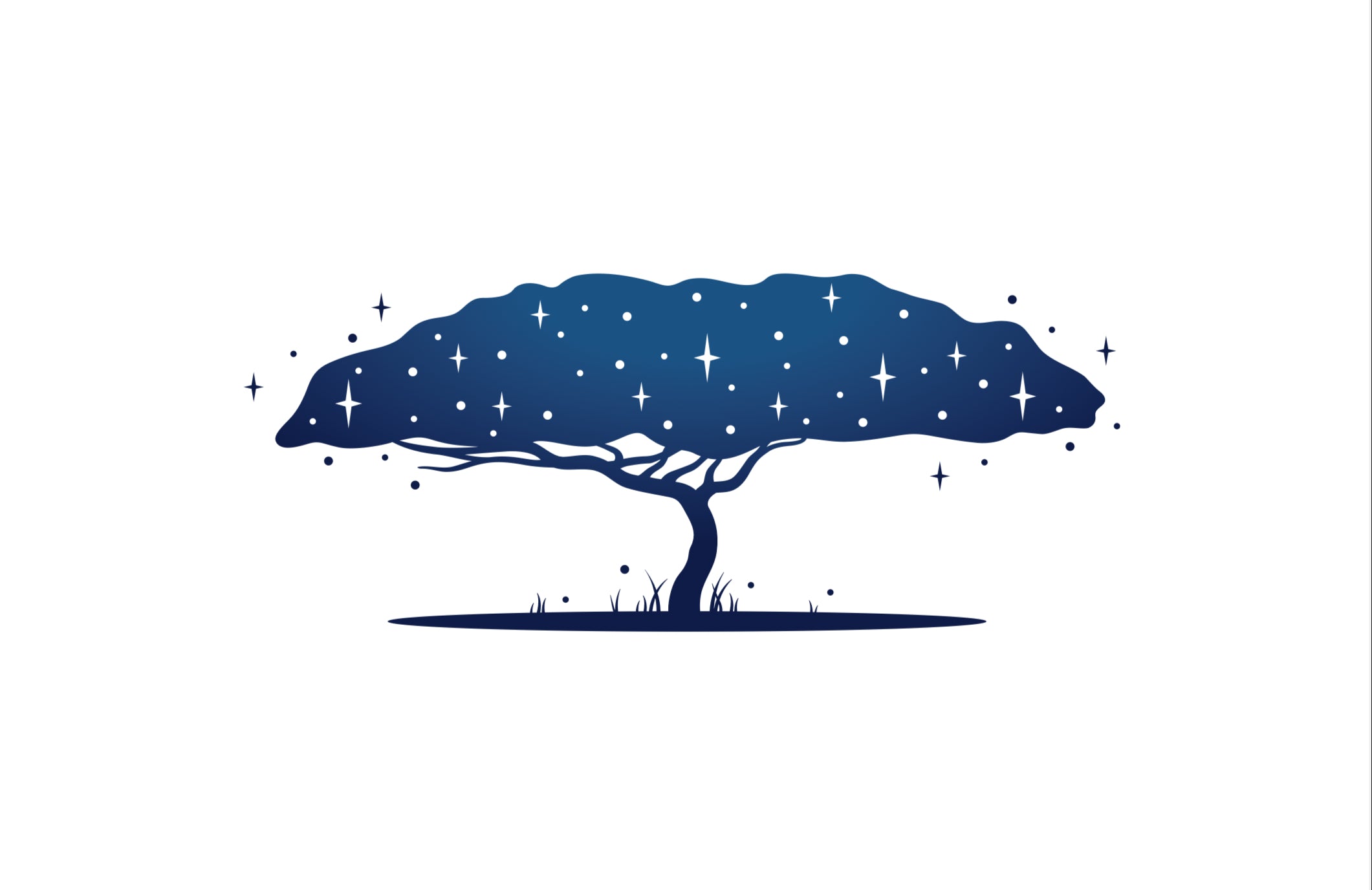 Best CBD Products for health 2022 - Wish Tress CBD
– Wish Tree CBD